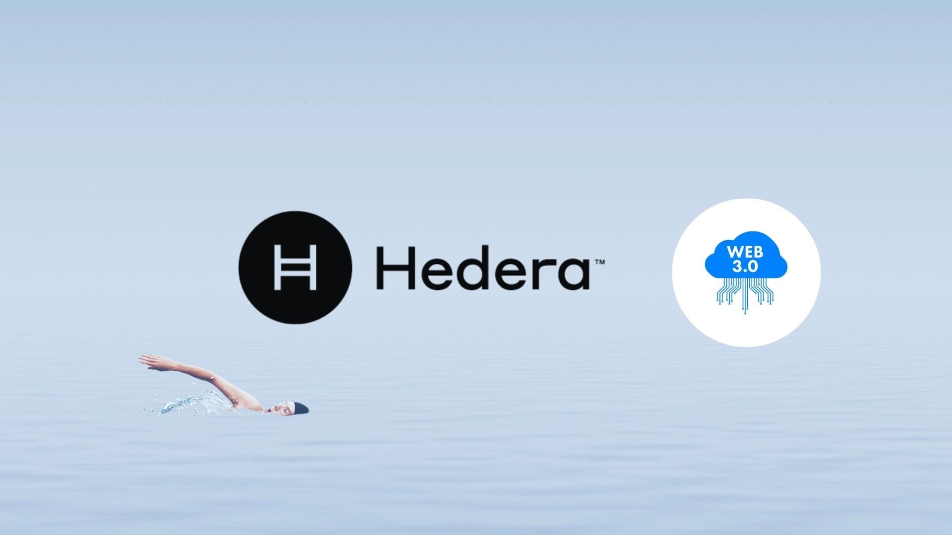 Hedera, Blockchain Foundation Initiate Web3 Education Series